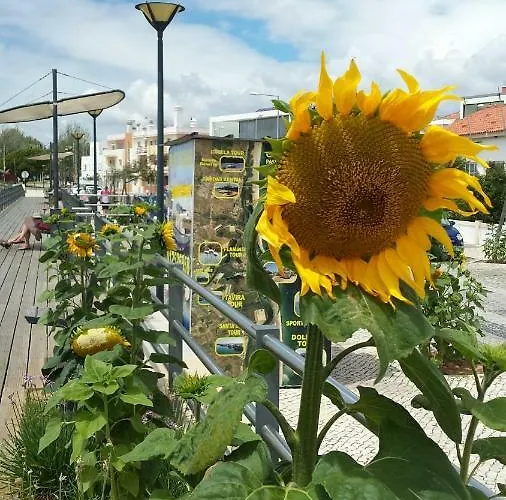 Cabanas2stay Daire Cabanas De Tavira